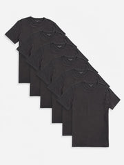 Classic Crew Driggs 6-Pack
