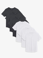 Curved Hem Driggs 6-Pack